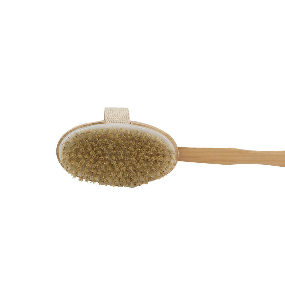 Natural Boar Bristle Body Brush DC-BB005B